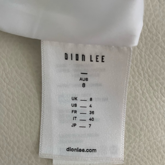 Climate Change Couture Dion Lee Botanical Geometric Hidden Lines Skirt Sz US4 - Picture 11 of 16